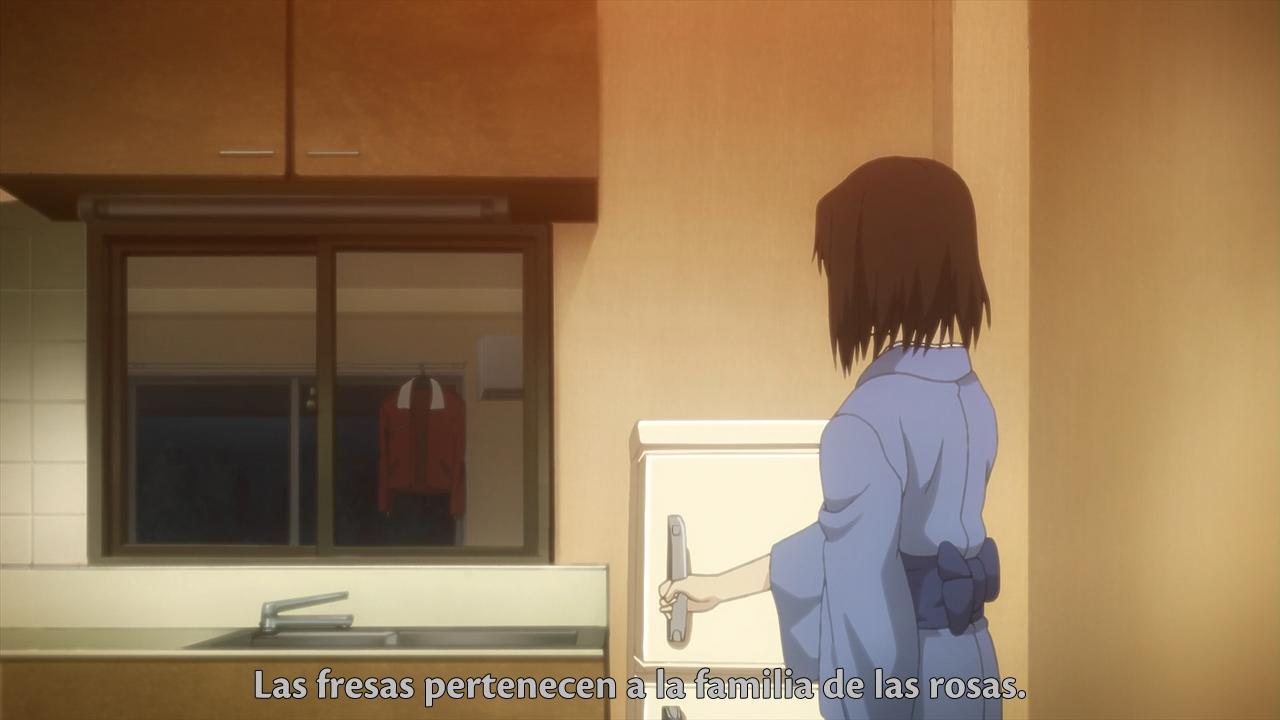 Kara no Kyoukai (El Mejor Anime Fansub)